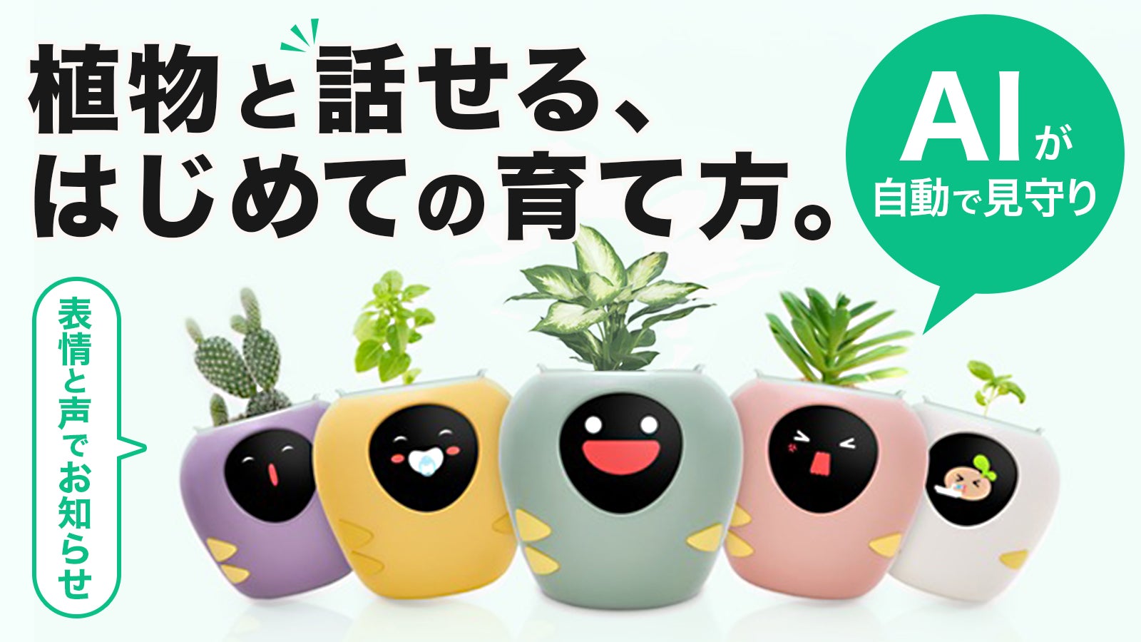 AI×センサーで植物と繋がる。表情でお世話を伝えるPlantbot