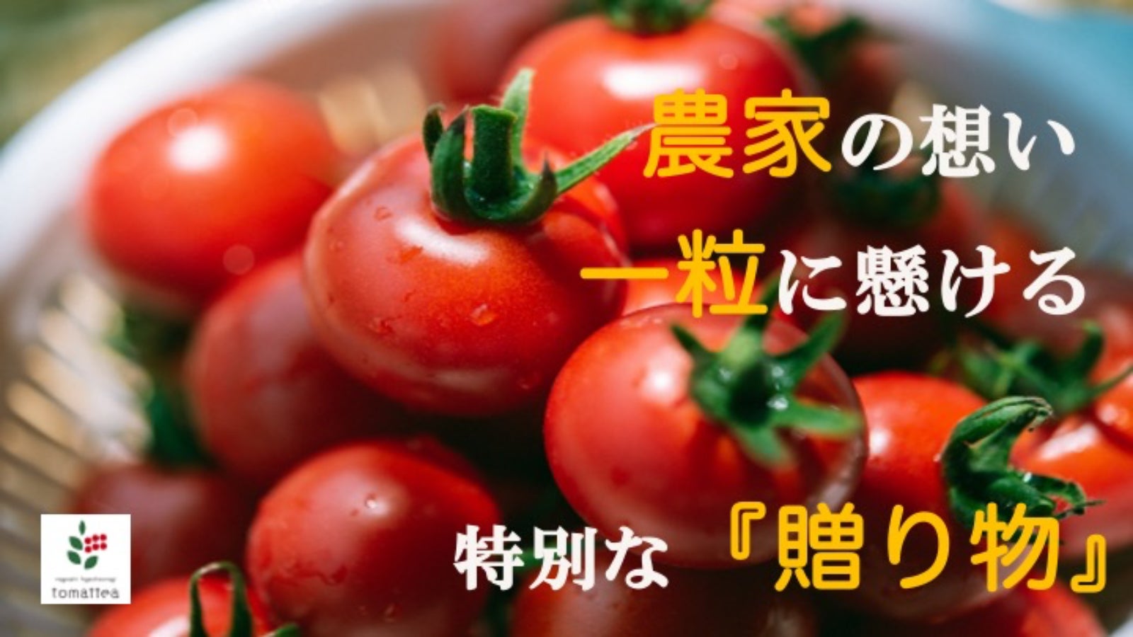 長崎の小さな農家の本気の挑戦!次世代へ紬ぐアタラシイ農業のカタチ。