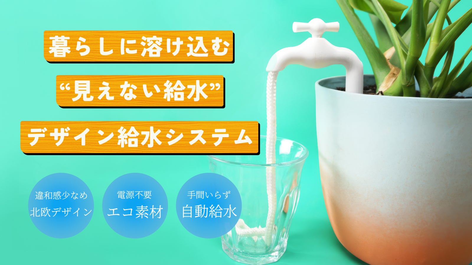 水やりの常識を変える。オランダ発・置くだけのセルフ給水システム『Tapwire』