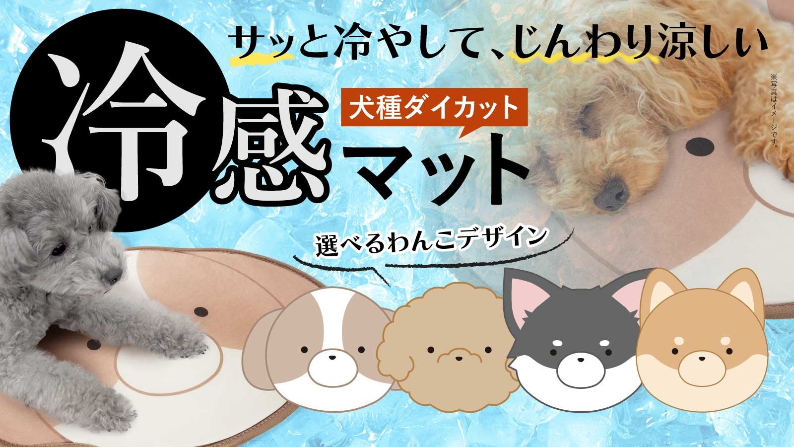 冷たいだけじゃない!!【うちの子自慢×冷感ジェル】ペットも人も使える冷感マット